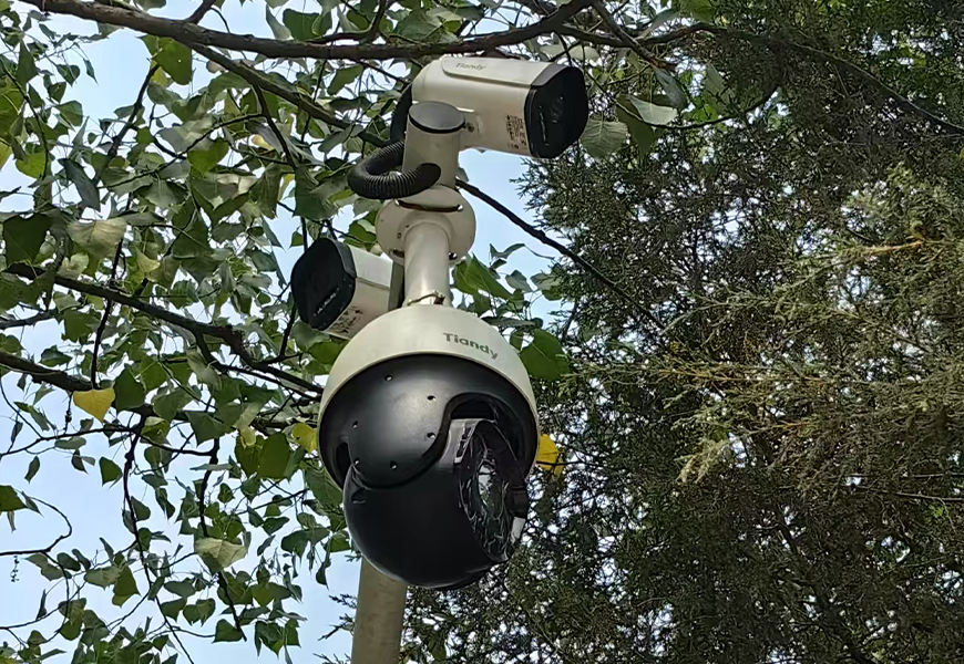 Z6·尊龙凯时「中国集团」官方网站