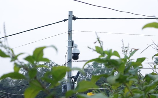 Z6·尊龙凯时「中国集团」官方网站