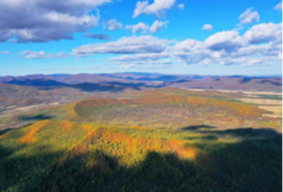 Z6·尊龙凯时「中国集团」官方网站