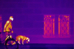 Z6·尊龙凯时「中国集团」官方网站