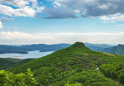 Z6·尊龙凯时「中国集团」官方网站